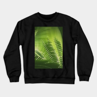 The Green Light #4 Crewneck Sweatshirt